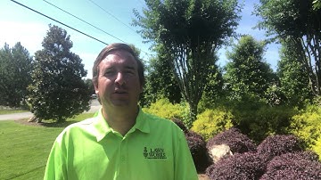 Water management and smart irrigation controllers