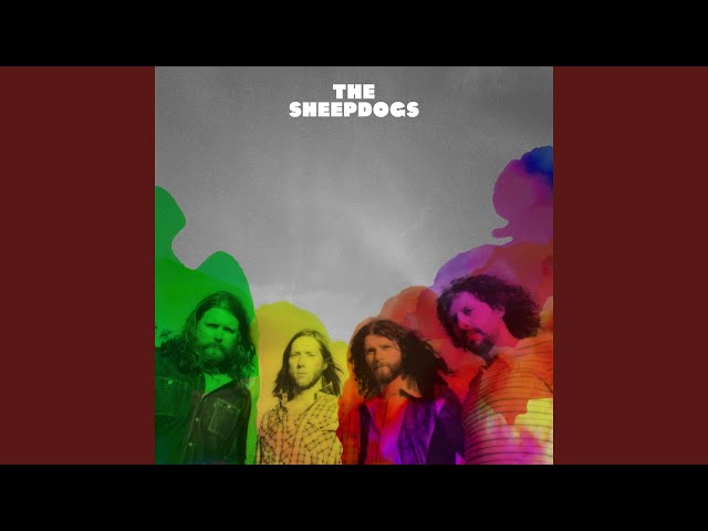 The Sheepdogs - Javelina!