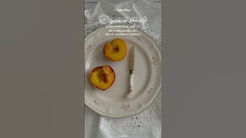 ربي يهدينا ويثبت خطواتنا♡| ﴿الَّذِي خَلَقَنِي فَهُوَ يَهْدِينِ﴾ سورة الشعراء | عثمان الحداد