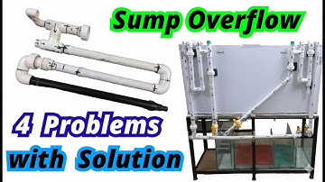 Top 4 Overflow Problems in Aquarium Sump + Easy Fix | Urdu / Hindi