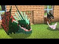 Dragons United Minecraft Server! READ DESC! #fyp #minecraft #minecraftserver 