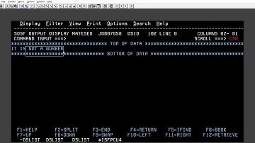 NUMERIC in COBOL || All About Mainframes