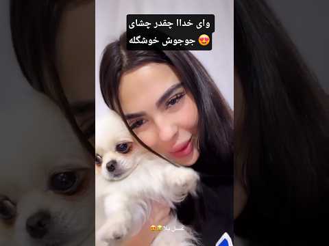 چقدر سگ روژان نازه چشاش حین چشای کیه آخر نامش ن عشق ابدی روژان احسان دبی