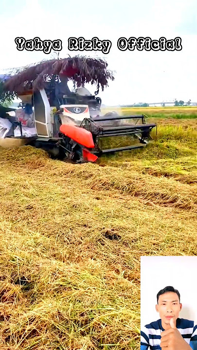 Ngebut Terus Walaupun Padi Roboh Kombet Sawah 81 #shorts #viral #kombet #combine #sawah