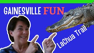 Gainesville FUN- The LaChua Trail