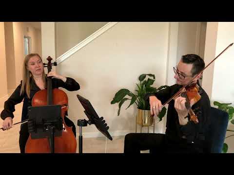 Sunset Strings' string duo performs Wildest Dreams