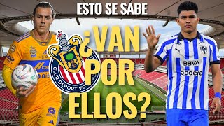 ¡REFUERZOS CHIVAS: ¿GALLARDO y CÓRDOVA pueden SER ROJIBLANCOS? Esto es lo que SE SABE!