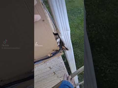 Barefoot and Barehanded with Honey Bees