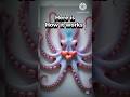 Why Octopuses Have 3 Hearts (And One Stops Beating!)