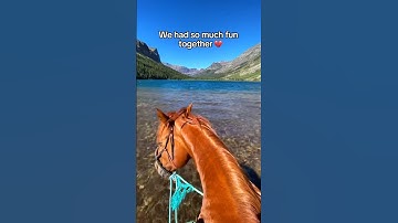 This is all I have left 🥺 #horse #equestrian #horsejumping #horseriding #horsegirl #camera #pov