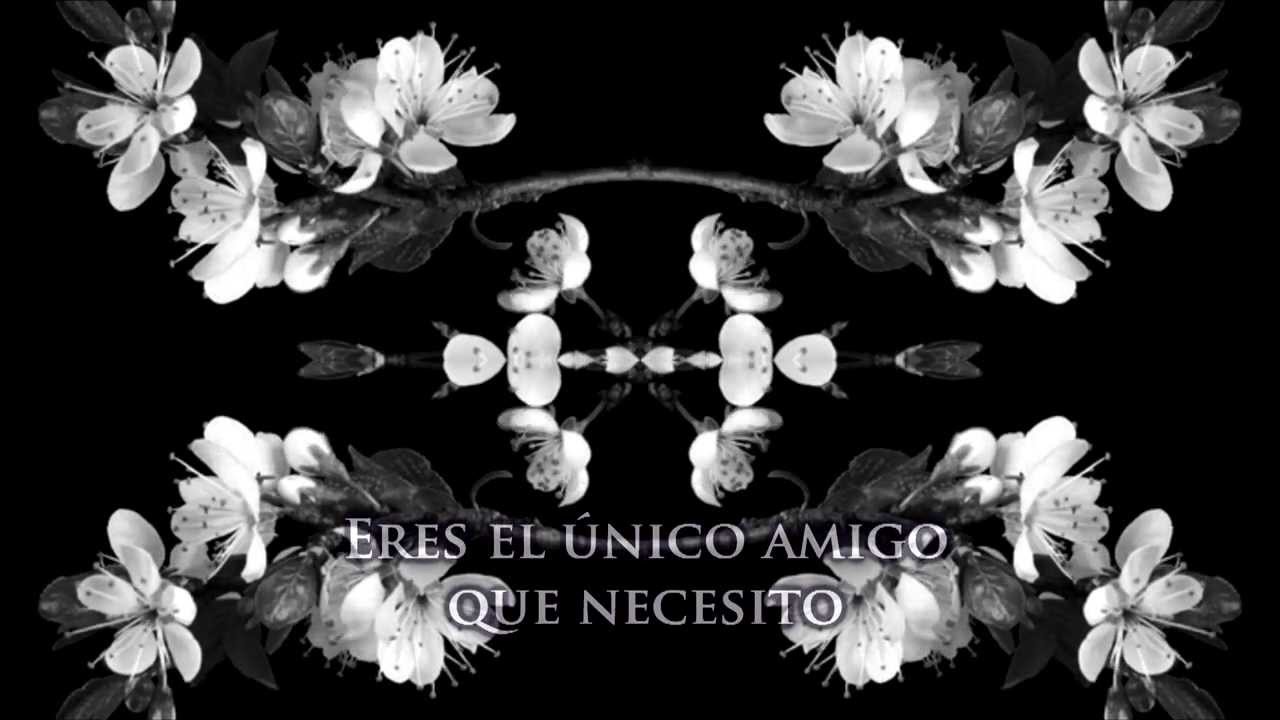 Lorde Ribs (subtitulada al español) YouTube