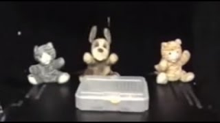 Infants Prefer Helpers puppets over Hinderers