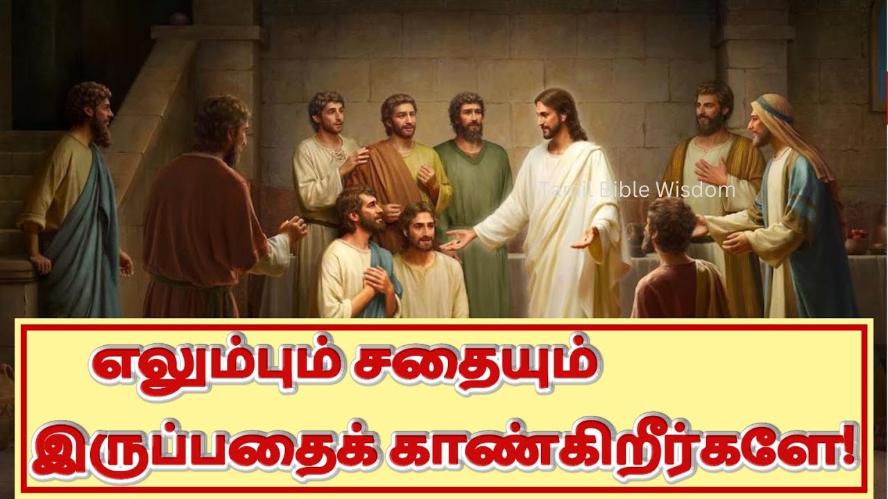  todays bible reading tamil