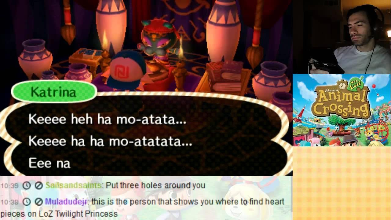 Animal Crossing New Leaf 3DS - Fortune Teller - YouTube