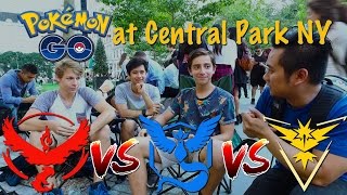 NEW YORK TEAM VALOR | MYSTIC | INSTINCT PLAYERS [Pokemon Go in Central Park]