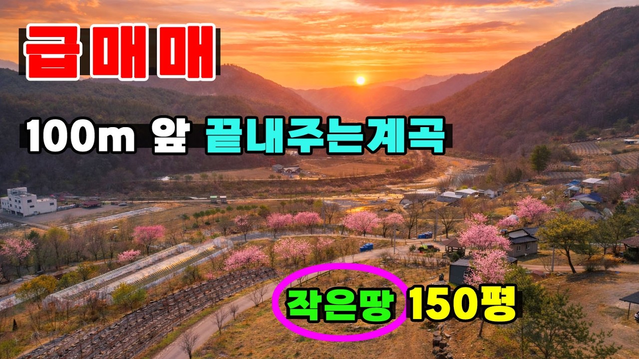 (급매매) 계곡물 흐르는 작은토지 150평 딱 ! 🚀2900만원 이게 진짜 매매금액!