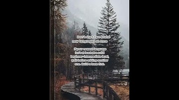 Juggling multiple languages? Consistency and the right tools make it possible! 🌍💬 #Airlearn