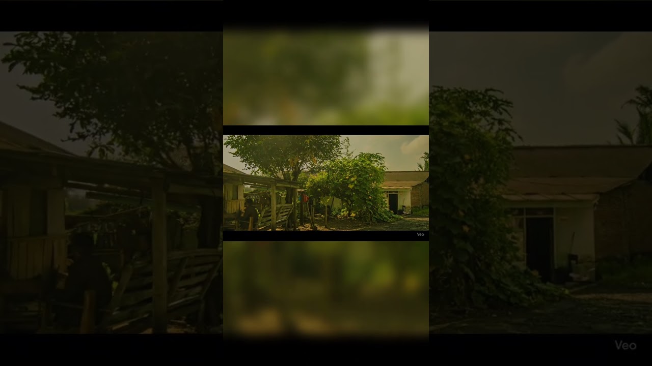 Image to Video Veo 3 | Canon D3200 RAW Format 