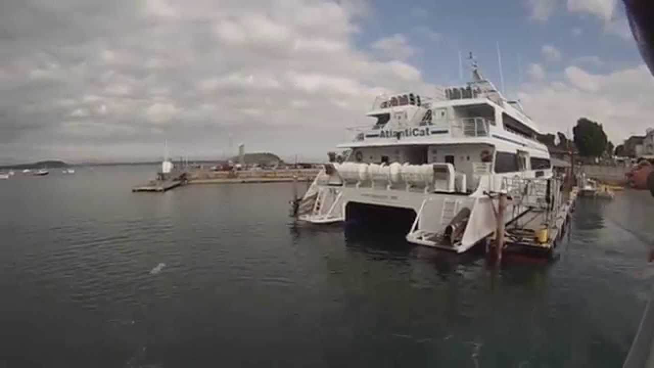 Whale Watching in Bar Harbor Maine on July 7, 2015 - YouTube