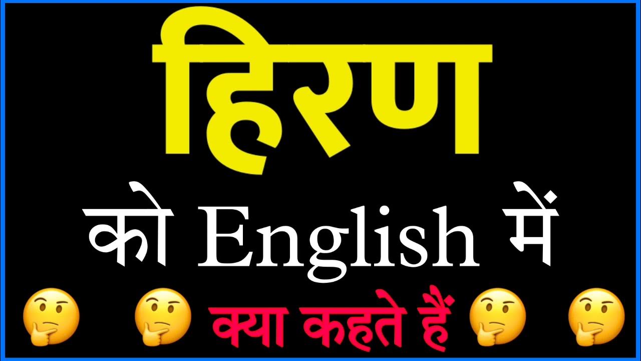 Hiran Ka English Kya Hota Hai Hiran Ko English Mein Kya Kahate Hain resume-kese-bnaye-resume-2-software