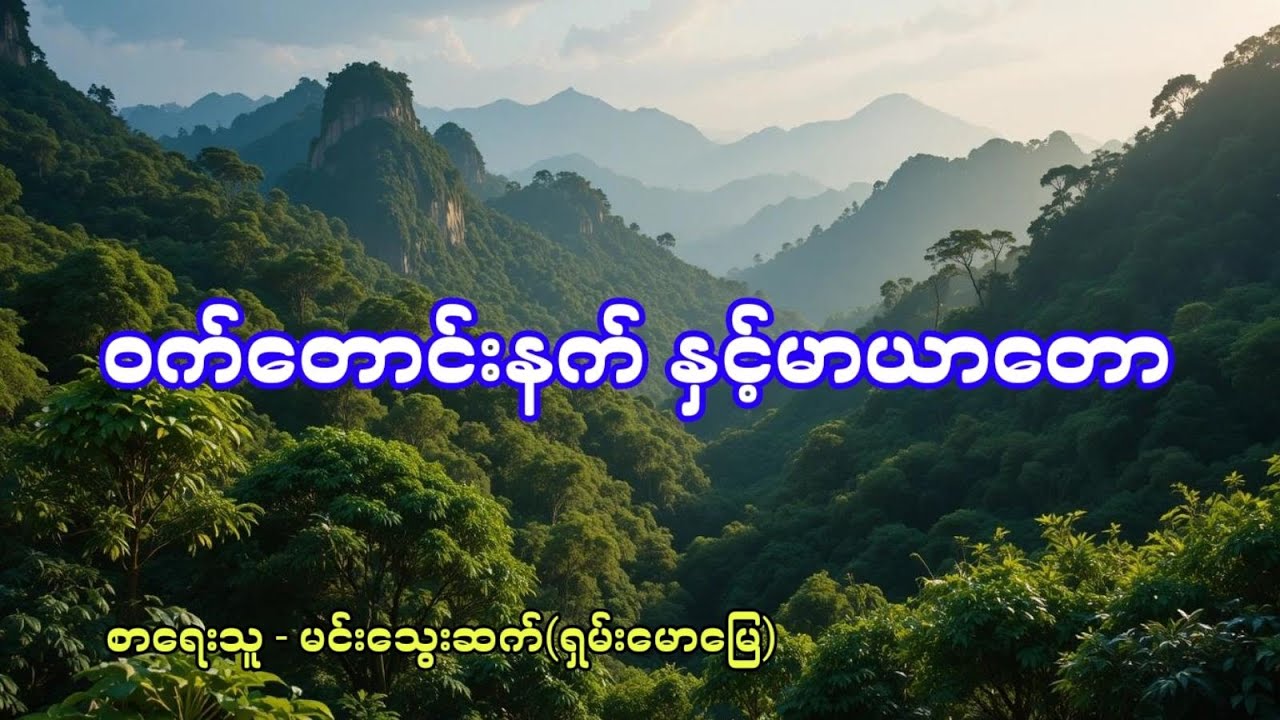 ဝက်တောင်းနက် နှင့်မာယာတော - စဆုံး