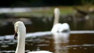 Gare Du Nord, Möhnesee, Soest, Germany Hd