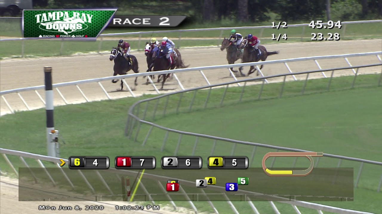 Tampa Bay Downs Replays 6 8 20 Race 2 YouTube