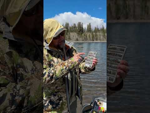 How to Build a Killer Chironomid Box for Any Lake