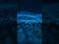 Deep Trance for Focus