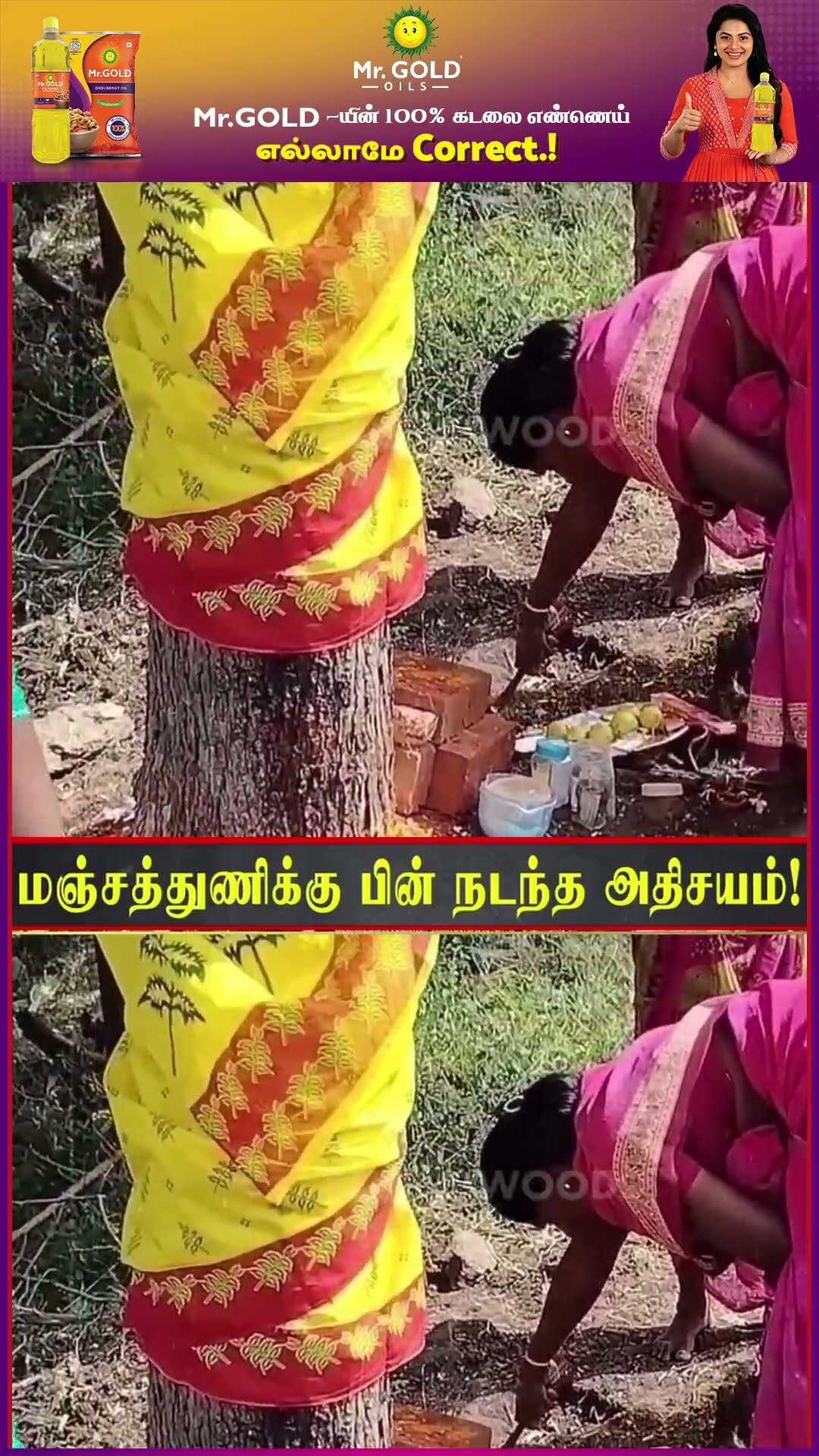 மரத்தில் கட்டிய மஞ்சள் சேலை ? வேப்ப மரத்தில் வந்த பால்