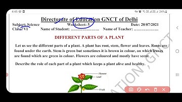 science worksheet 5 class6 (20/7/21)English medium/science worksheet5 class6/class6 scienceworkshet5