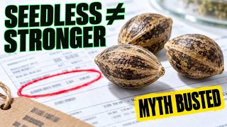 Are Triploid Seeds Worth It? What the Research Actually Shows