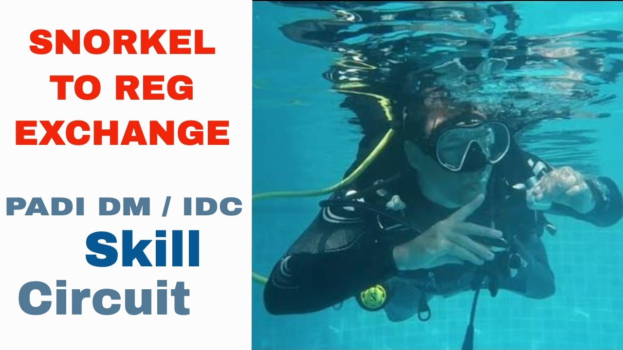 PADI Snorkel To Regulator Exchange IDC Divemaster Skill Circuit YouTube