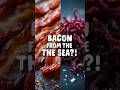 Bacon Flavored Seaweed?