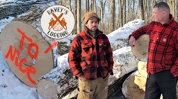 Verantwoord houtkap - het is noodzakelijk. Met @daveyslogging #houtkap #boomverzorger #stihl #hus...