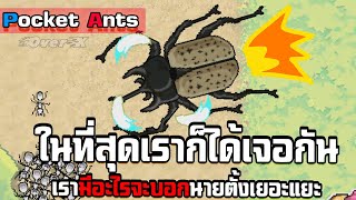 Pocket Ants Ep.8 - เปิดเผยชื่อที่แท้จริงของบอสแห่งอาณาจักรมด