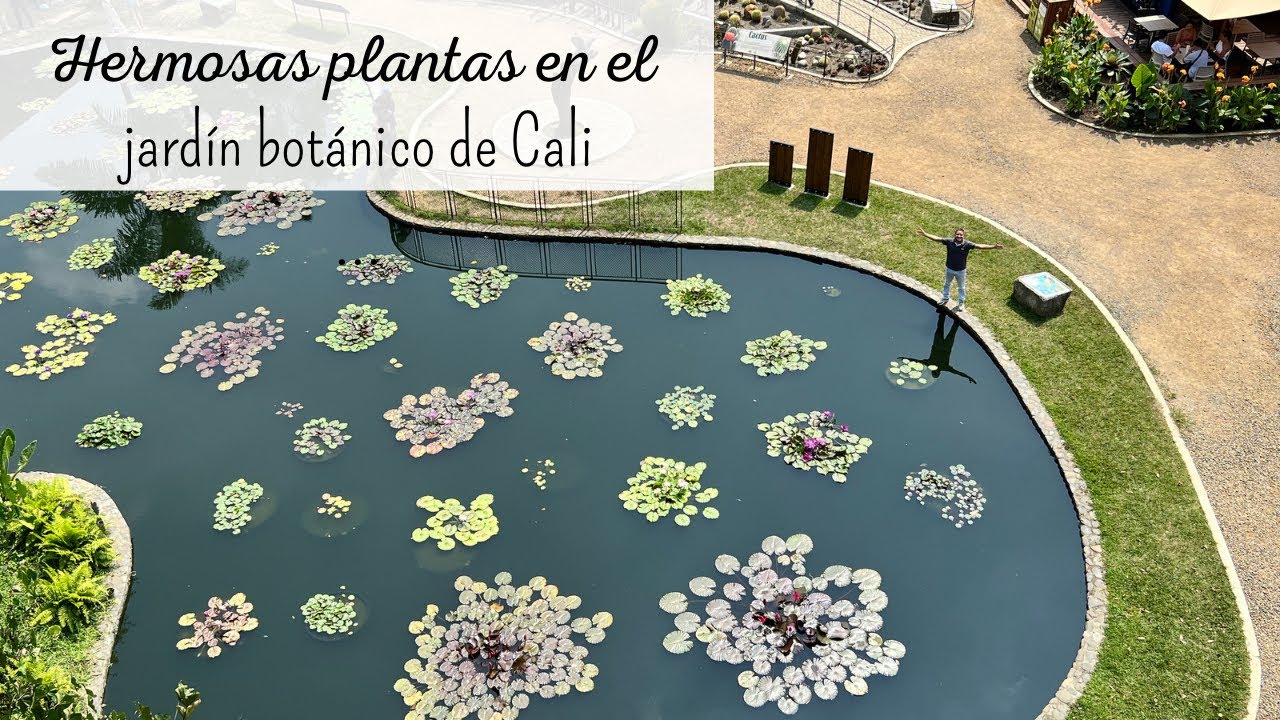 Conoce el HERMOSO jardín botánico de Cali