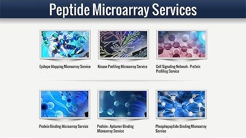 Peptide Microarray Service