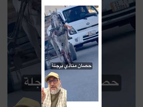 معقولة البشر واصل لهالمرحل رجاء اذا احد يندله يتواصل وياية