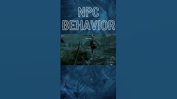 This NPC Behavior in Skyrim is Hilarious