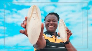 CUTTLEFISH BONE, The Mysterious Calcium-Rich Shell That Heals