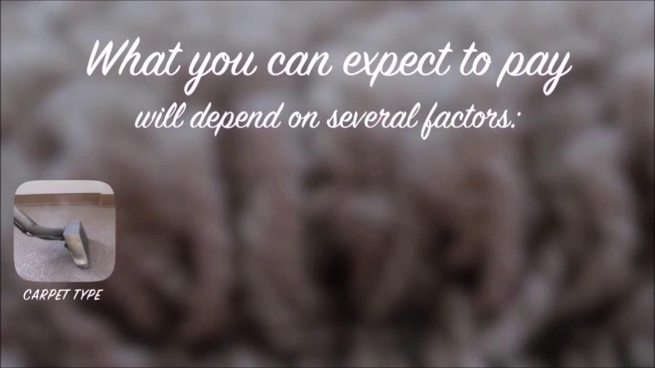 Professional Carpet & Rug Cleaning New Jersey 973-343-7627 ProCleanersNJ