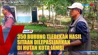 350 Confiscated Tledekan Birds Released into Jambi City Forest
