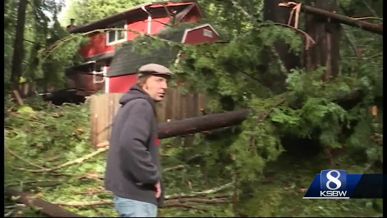 Tall trees crash into Boulder Creek homes california roll