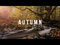 Autumn LANDSCAPE PHOTOGRAPHY Vlog
