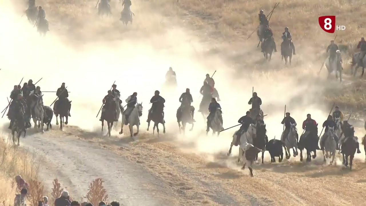 Resumen Tercer Encierro de Cuéllar 2025