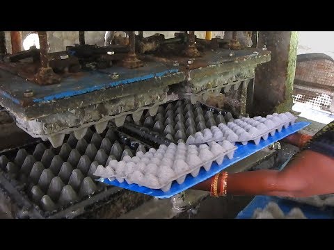 Best Egg Trays Making Machine Factory Using Waste Paper | Fully Auto Egg Cartoon Making /