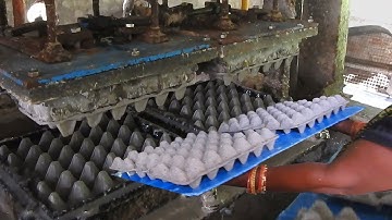 Best Egg Trays Making Machine Factory Using Waste Paper | Fully Auto Egg Cartoon Making / SSI