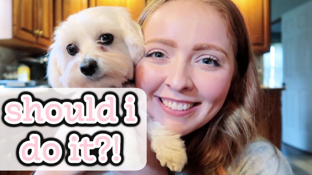 SHOULD I DO IT?! | Daily Vlog | Sarah Hasselberger - YouTube