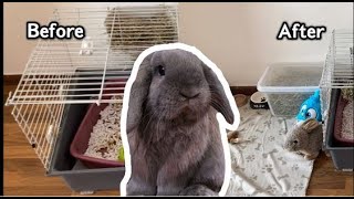 Bunny House Makeover Andy